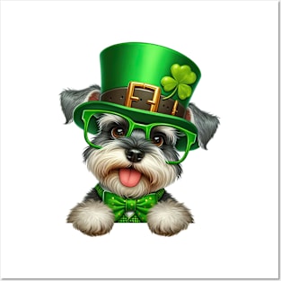 St Patricks Day Peeking Miniature Schnauzer Dog Posters and Art